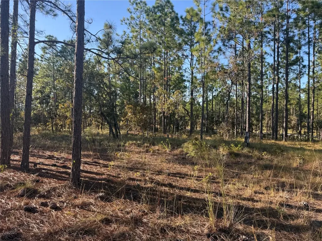 00 SE 73rd Lane Morriston FL 32668