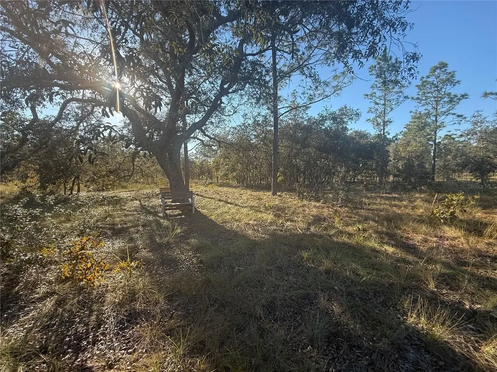 00 SE 73rd Lane Morriston FL 32668