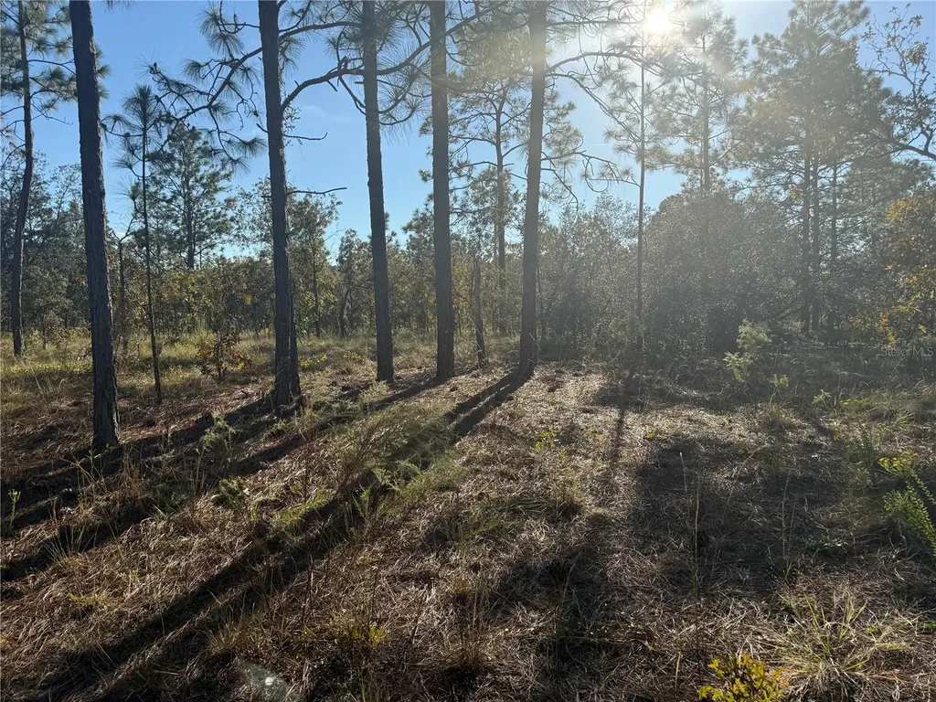 00 SE 73rd Lane Morriston FL 32668