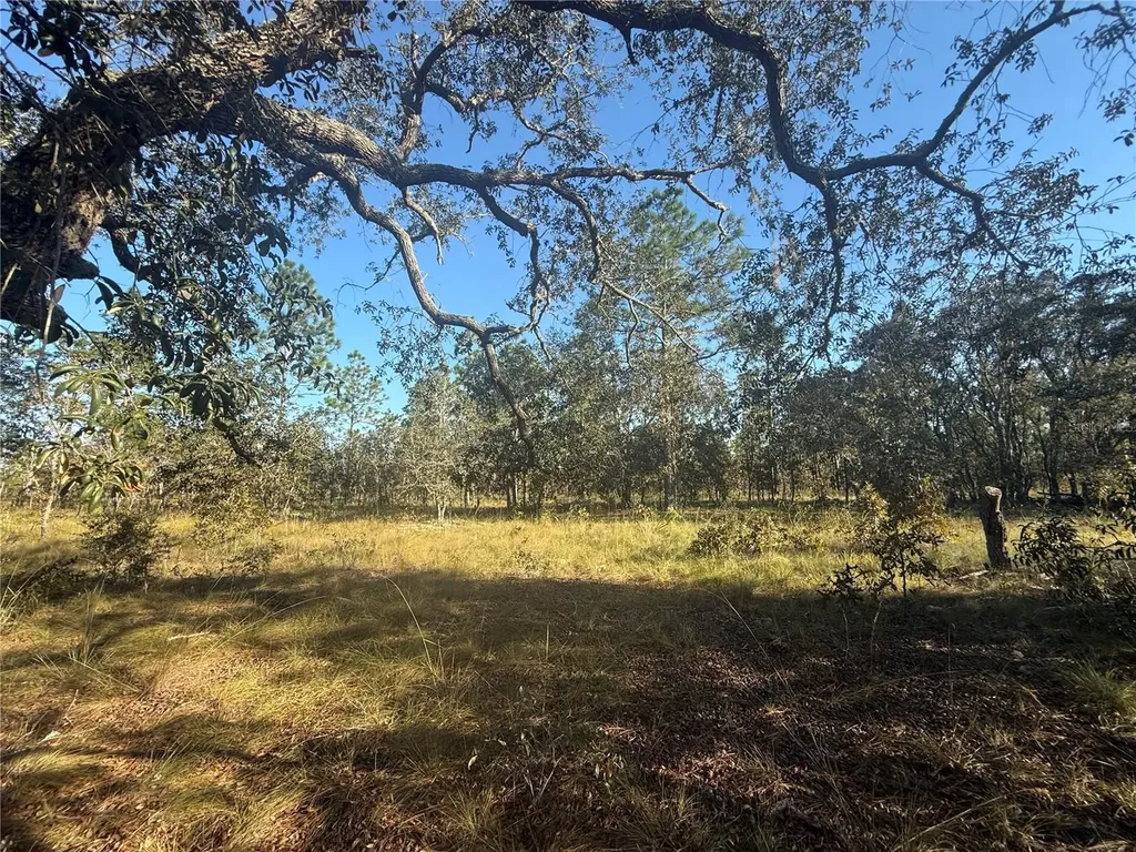 00 SE 73rd Lane Morriston FL 32668