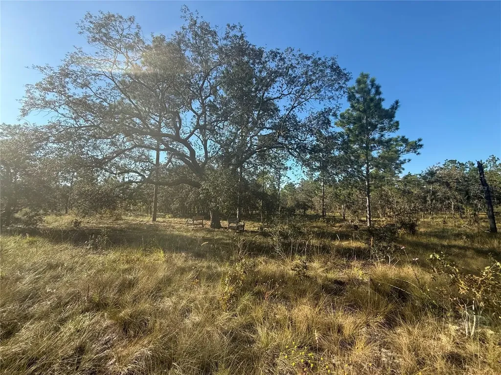 00 SE 73rd Lane Morriston FL 32668