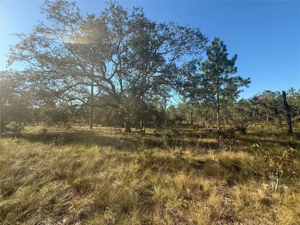 00 SE 73rd Lane Morriston FL 32668