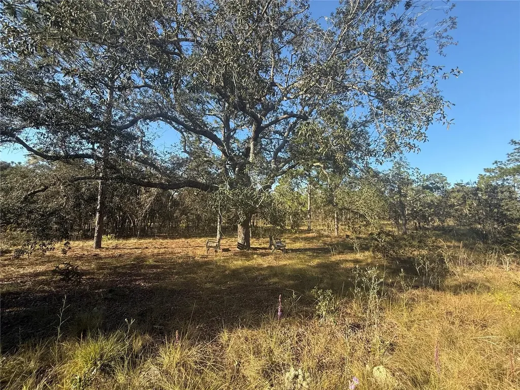 00 SE 73rd Lane Morriston FL 32668