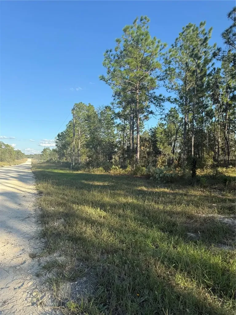 00 SE 73rd Lane Morriston FL 32668