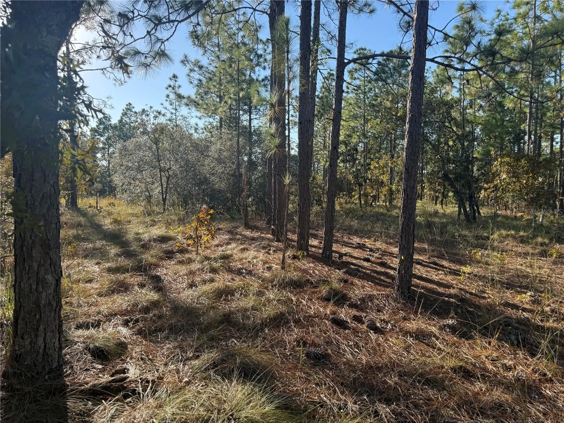 00 SE 73rd Lane Morriston FL 32668