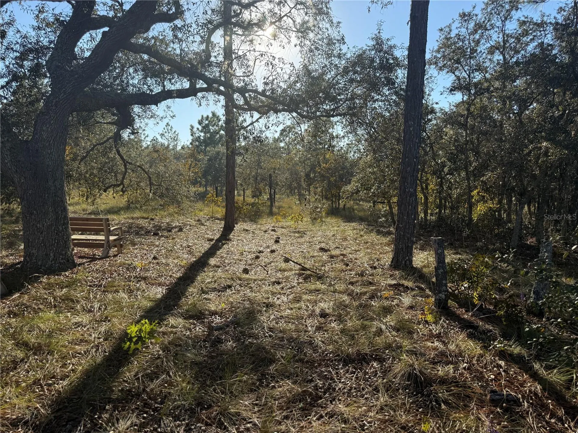 00 SE 73rd Lane Morriston FL 32668