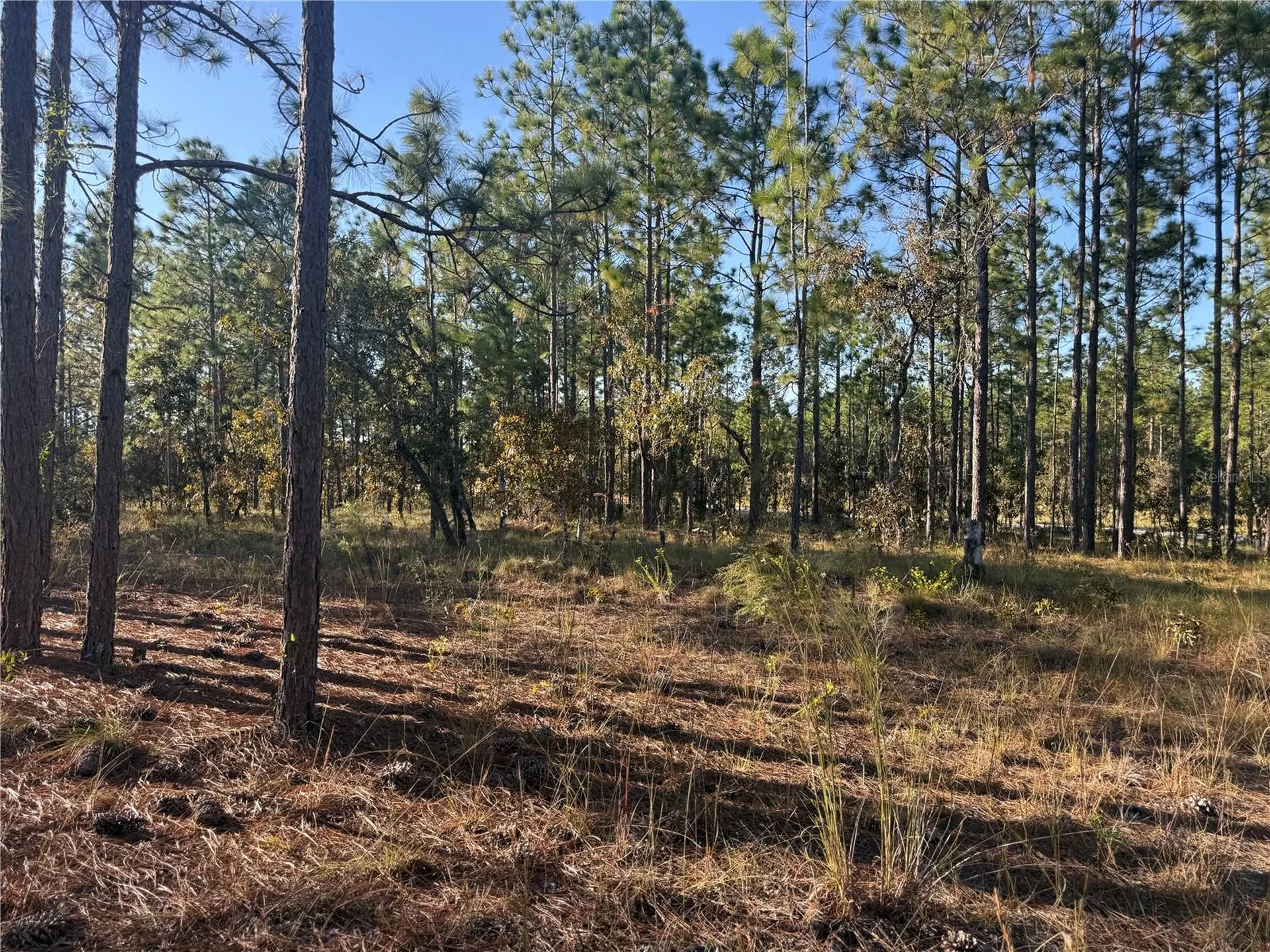00 SE 73rd Lane Morriston FL 32668