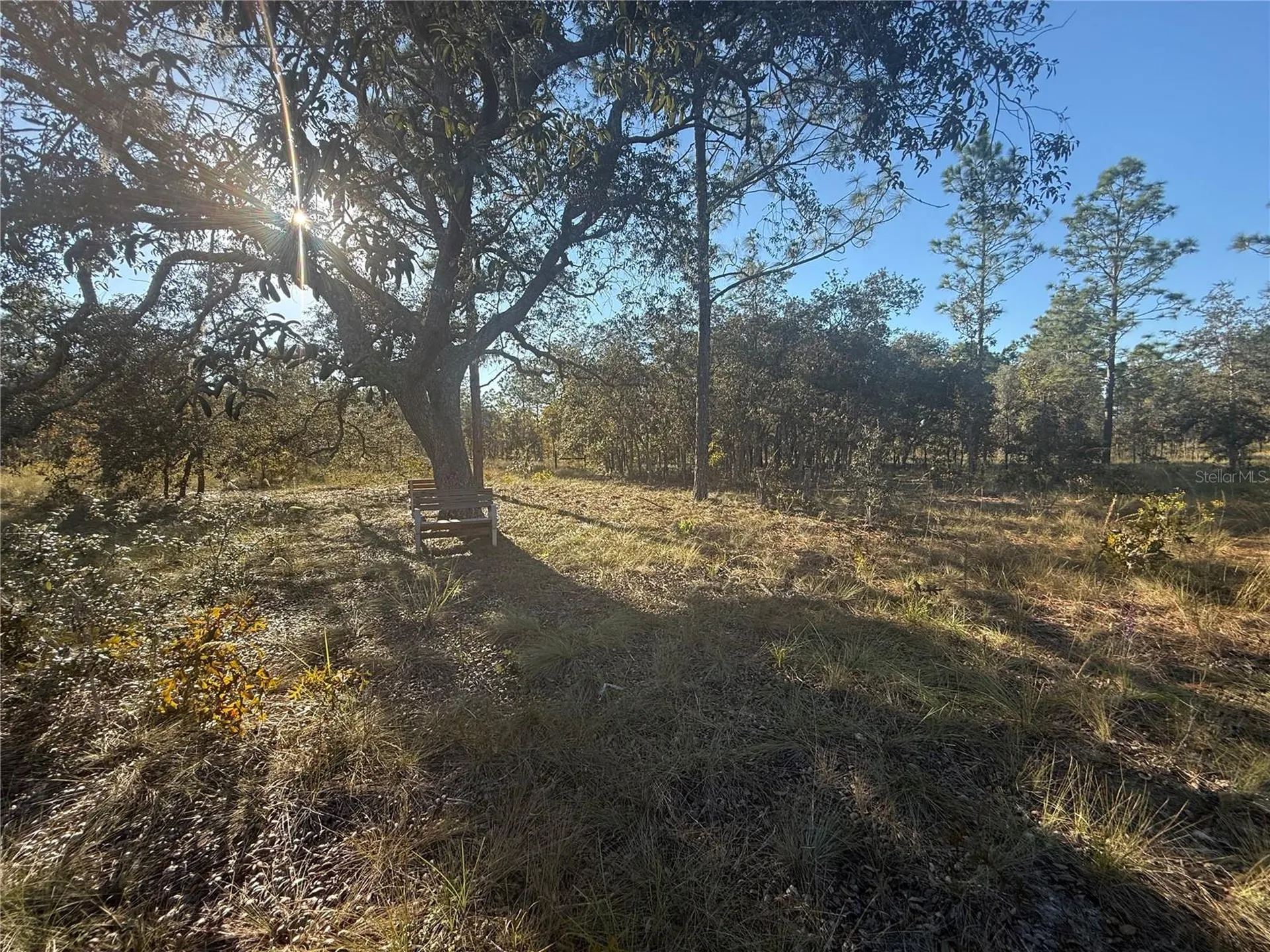 00 SE 73rd Lane Morriston FL 32668