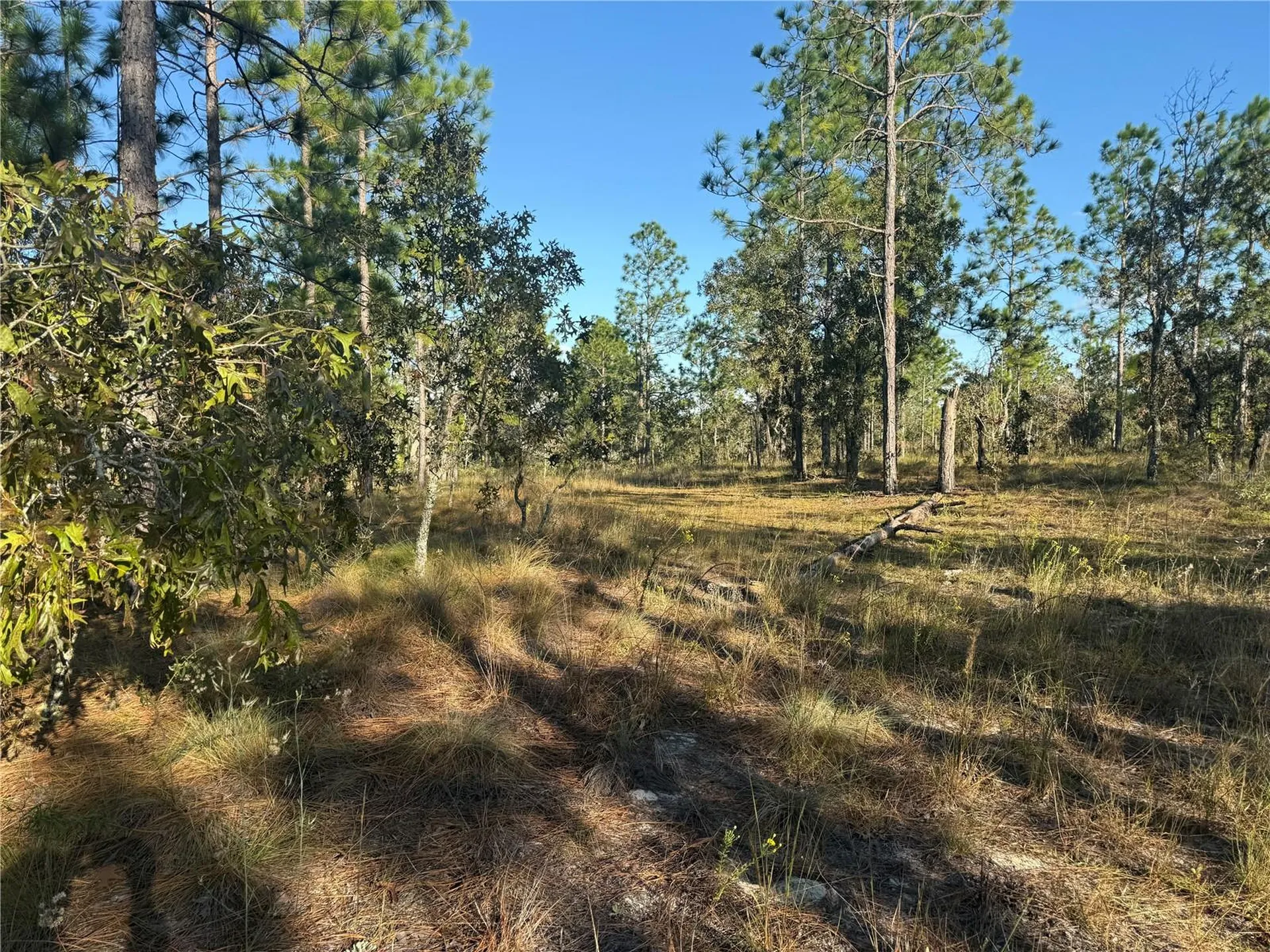 00 SE 73rd Lane Morriston FL 32668