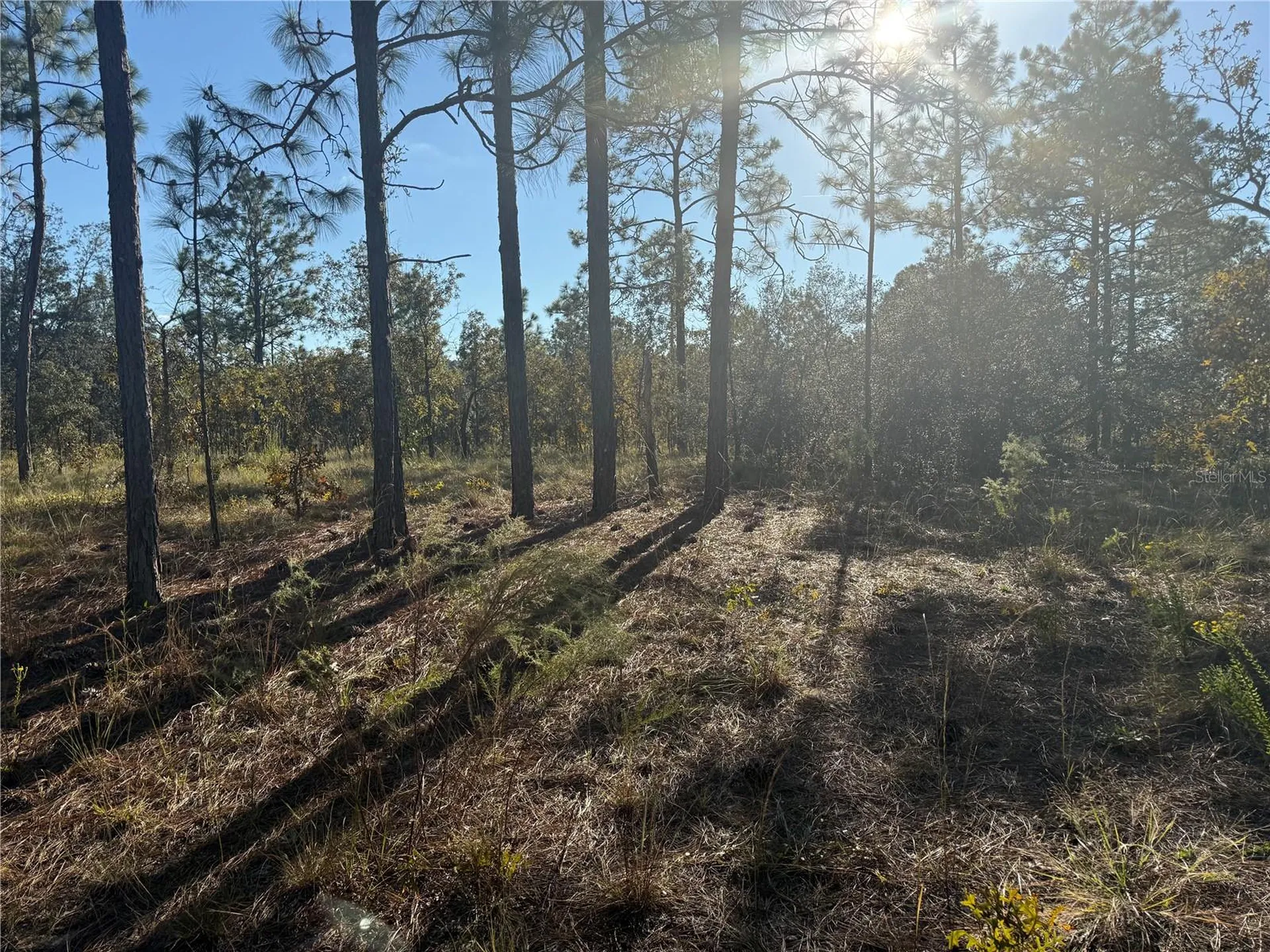 00 SE 73rd Lane Morriston FL 32668