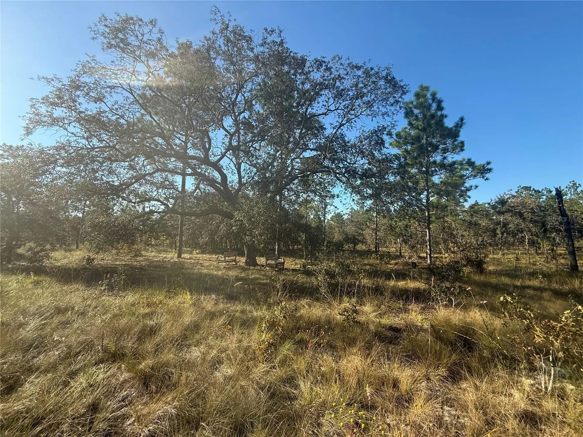 00 SE 73rd Lane Morriston FL 32668
