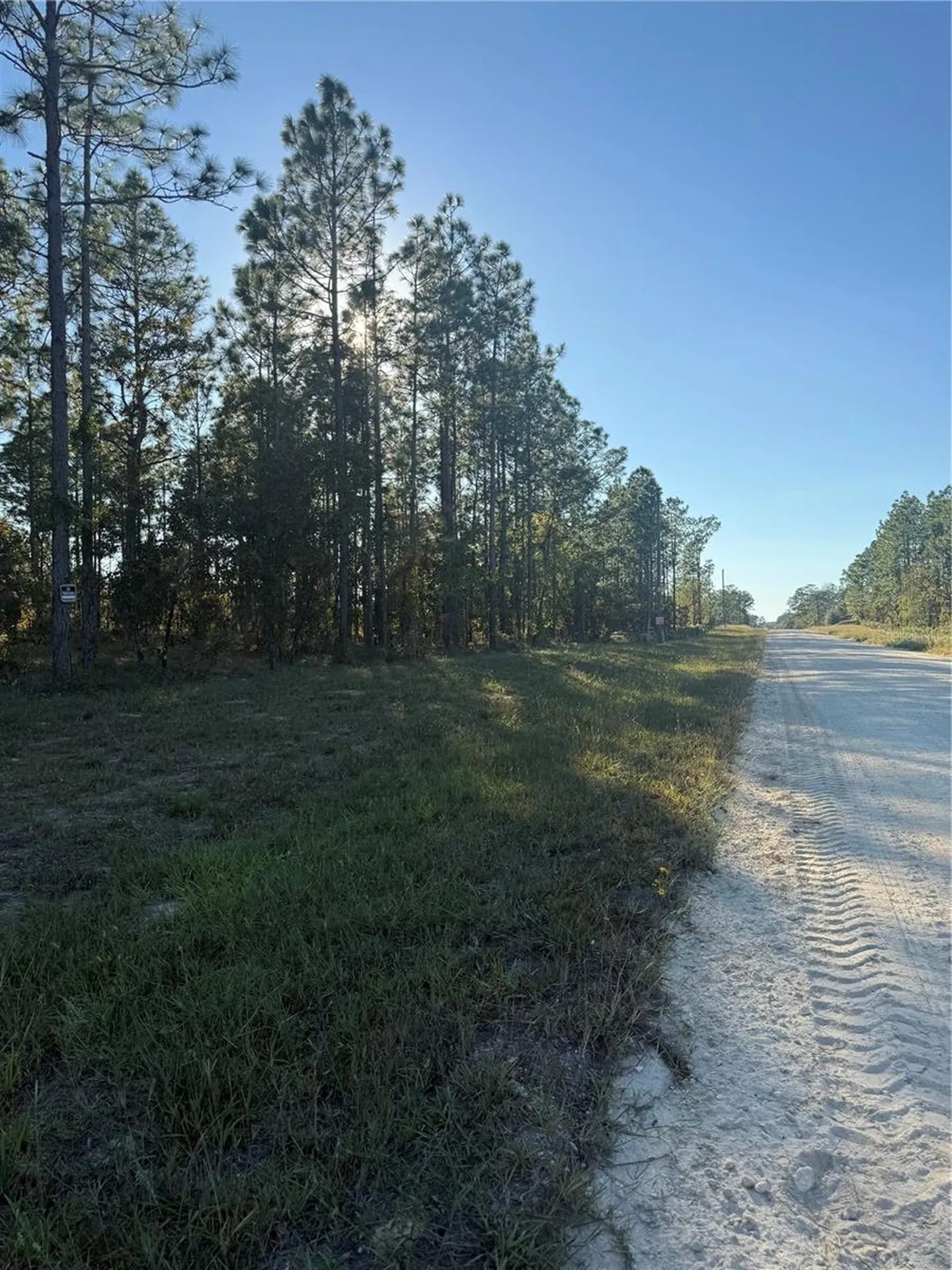 00 SE 73rd Lane Morriston FL 32668