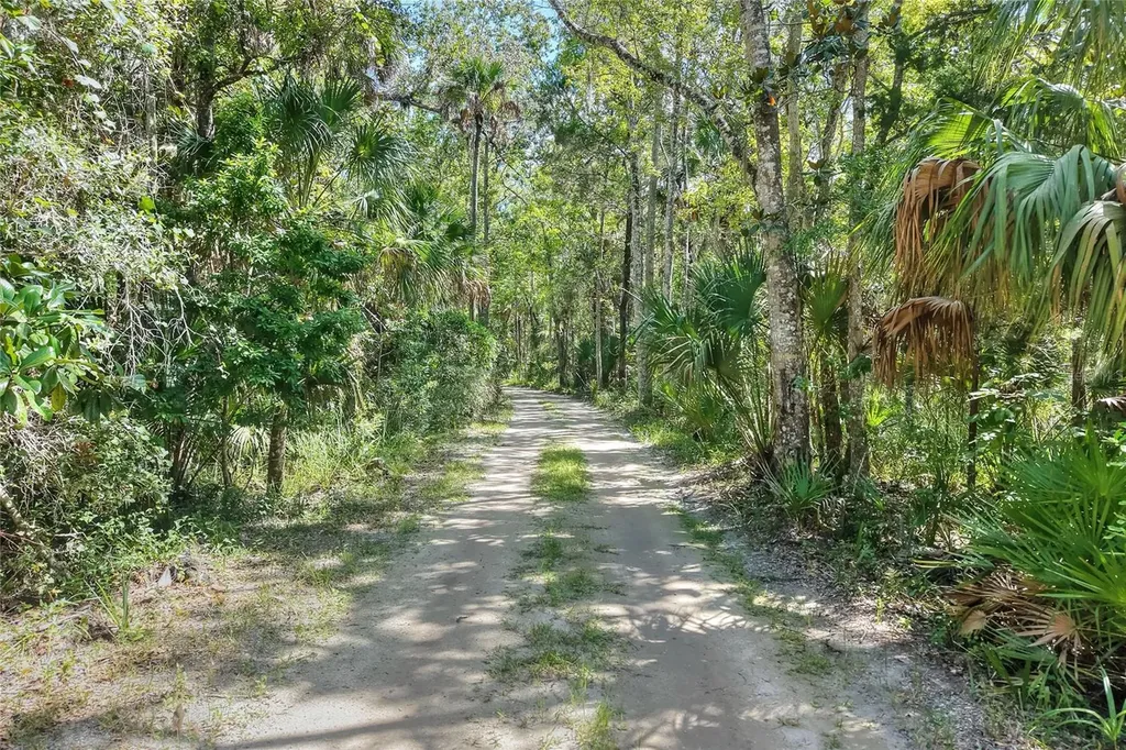Pine Island Drive Weeki Wachee FL 34613