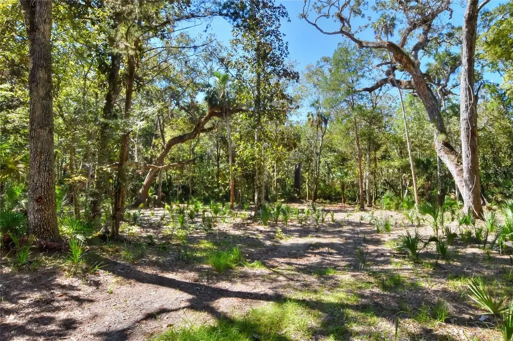 Pine Island Drive Weeki Wachee FL 34613