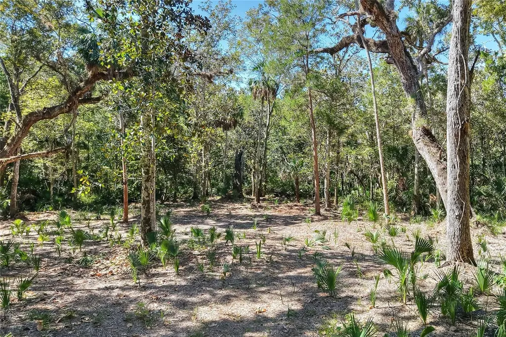 Pine Island Drive Weeki Wachee FL 34613