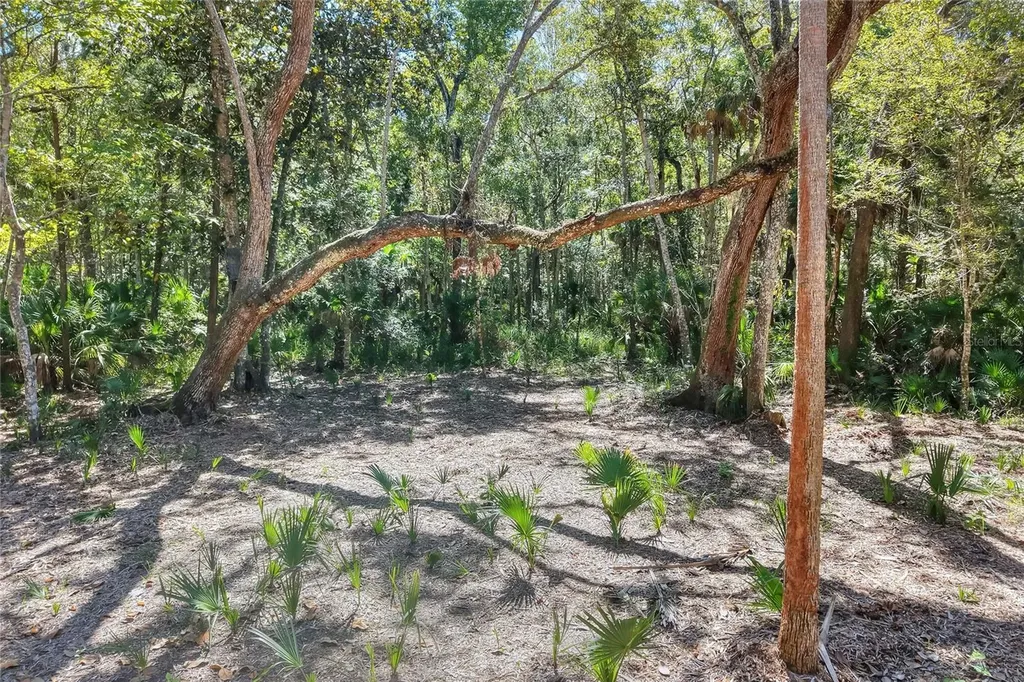 Pine Island Drive Weeki Wachee FL 34613