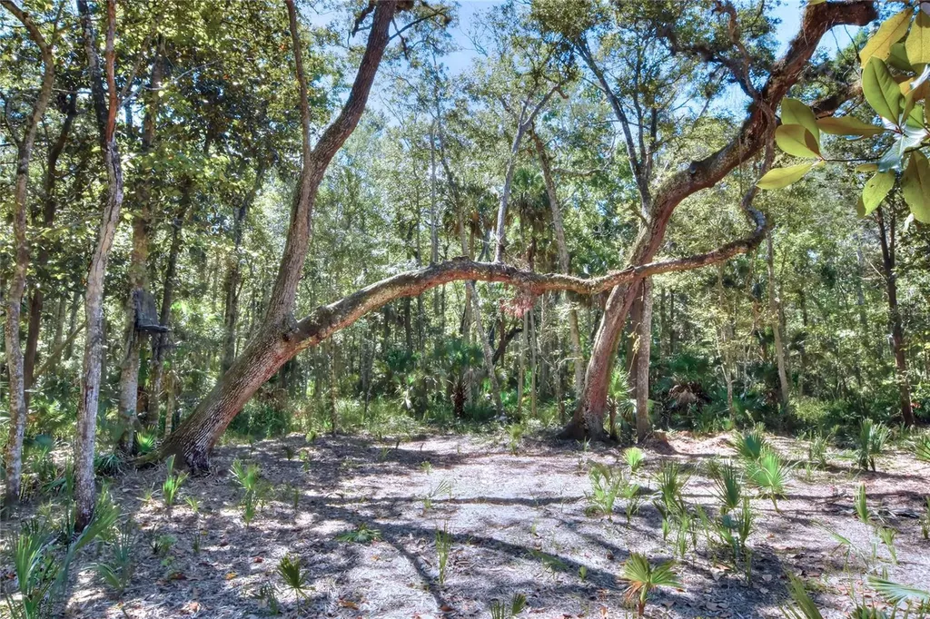 Pine Island Drive Weeki Wachee FL 34613