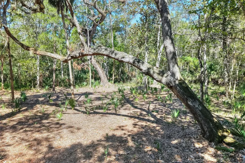Pine Island Drive Weeki Wachee FL 34613