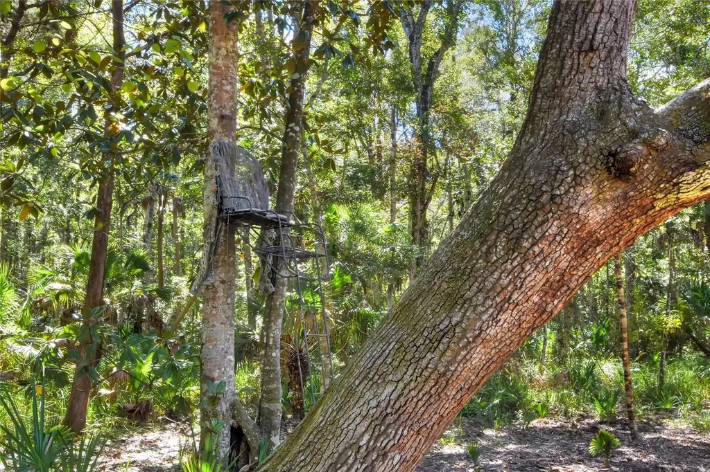 Pine Island Drive Weeki Wachee FL 34613