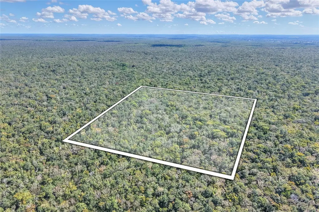 Pine Island Drive Weeki Wachee FL 34613