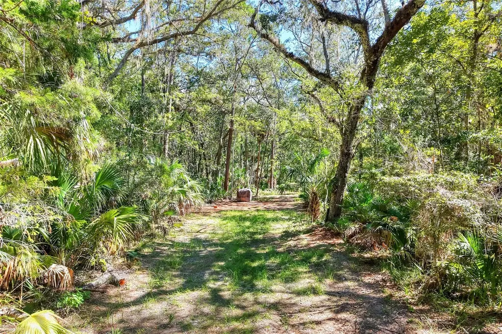 Pine Island Drive Weeki Wachee FL 34613