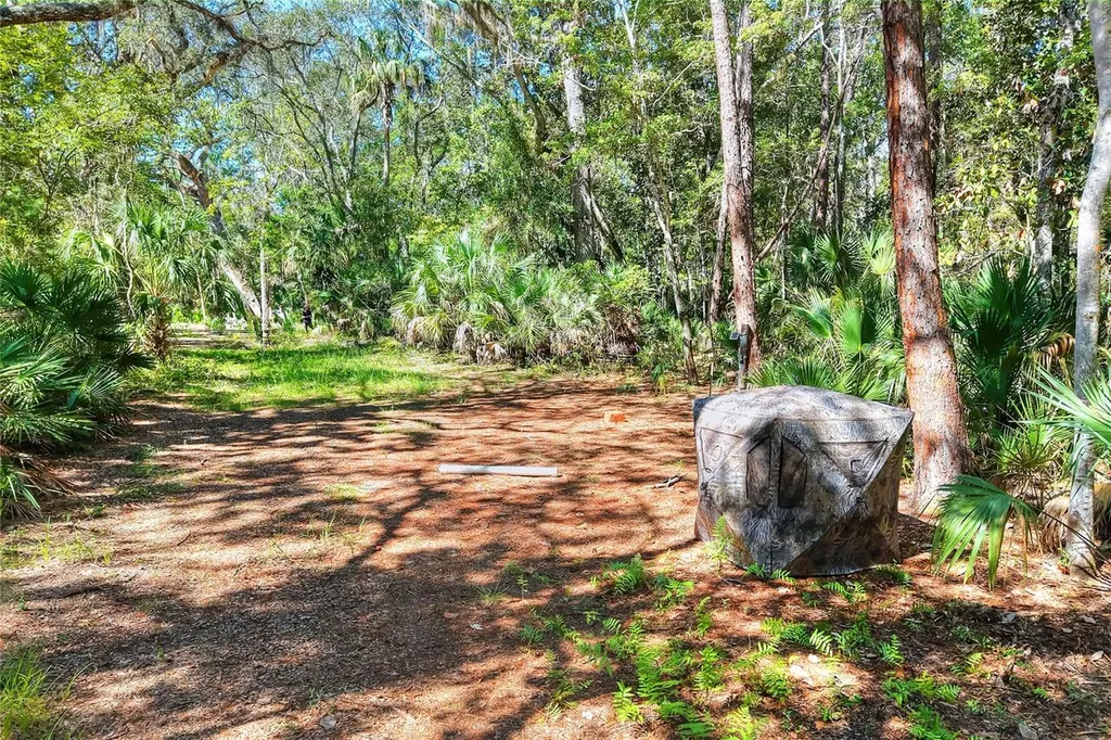 Pine Island Drive Weeki Wachee FL 34613