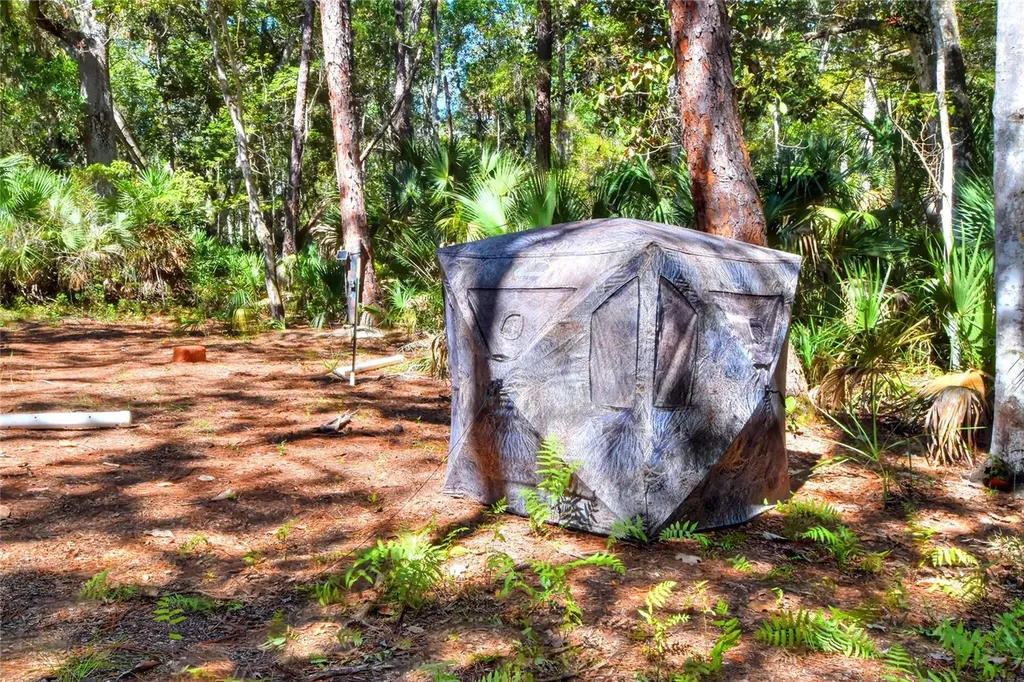 Pine Island Drive Weeki Wachee FL 34613