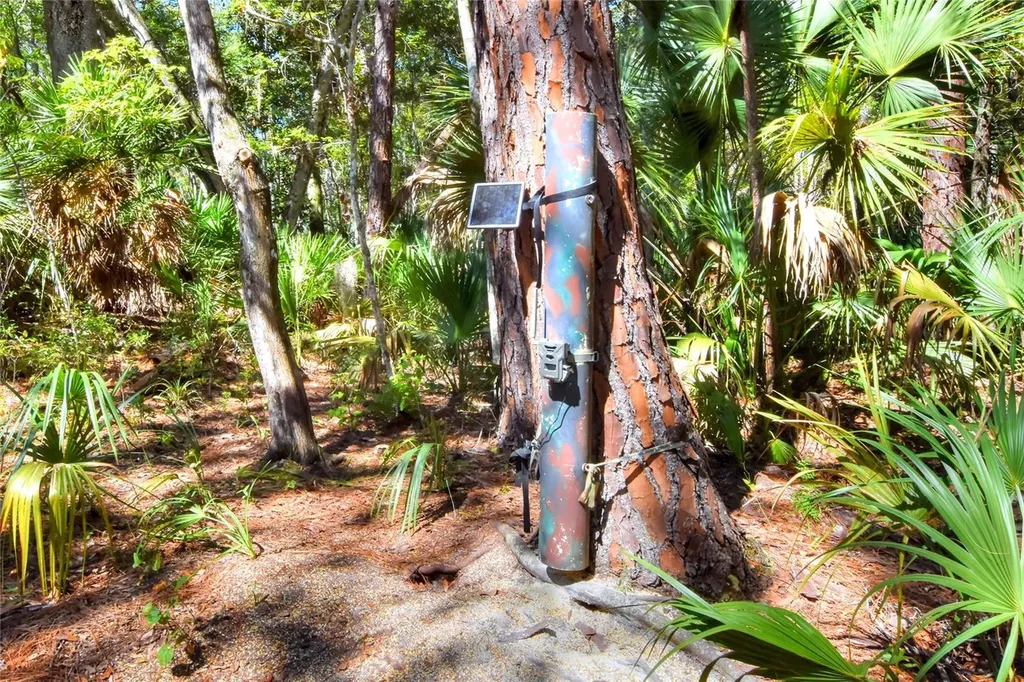 Pine Island Drive Weeki Wachee FL 34613