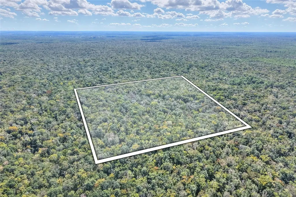 Pine Island Drive Weeki Wachee FL 34613