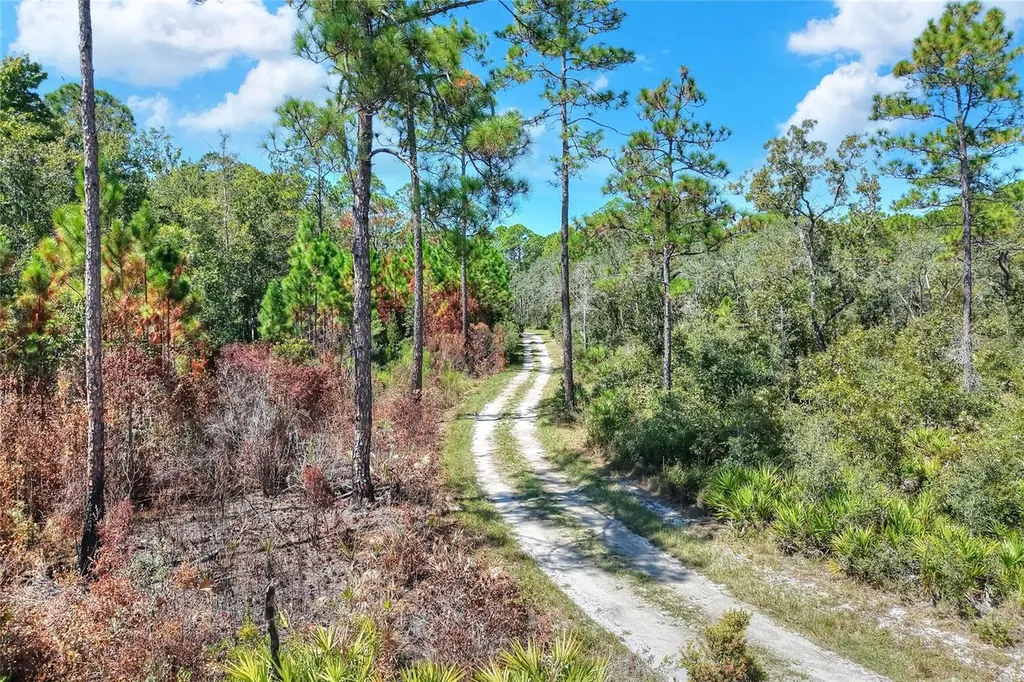 Pine Island Drive Weeki Wachee FL 34613
