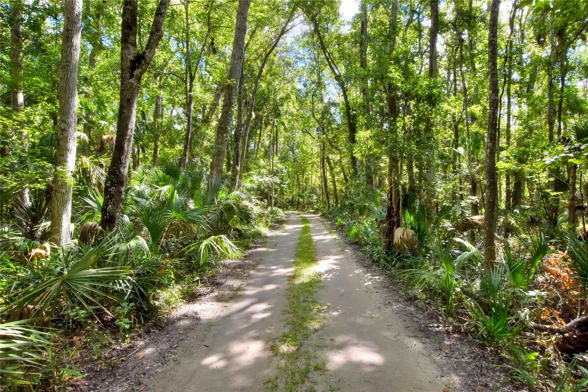 Pine Island Drive Weeki Wachee FL 34613