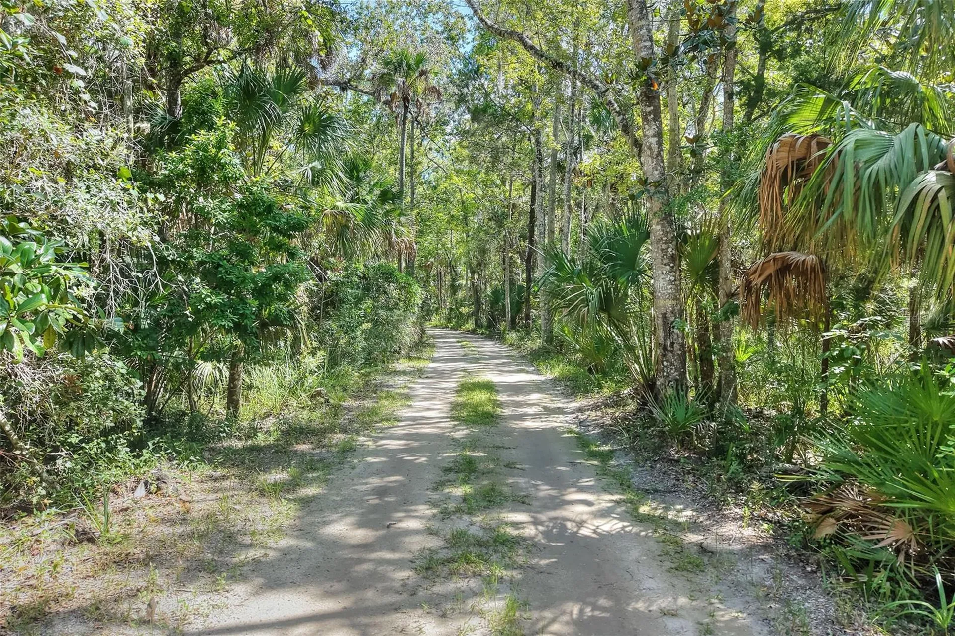 Pine Island Drive Weeki Wachee FL 34613