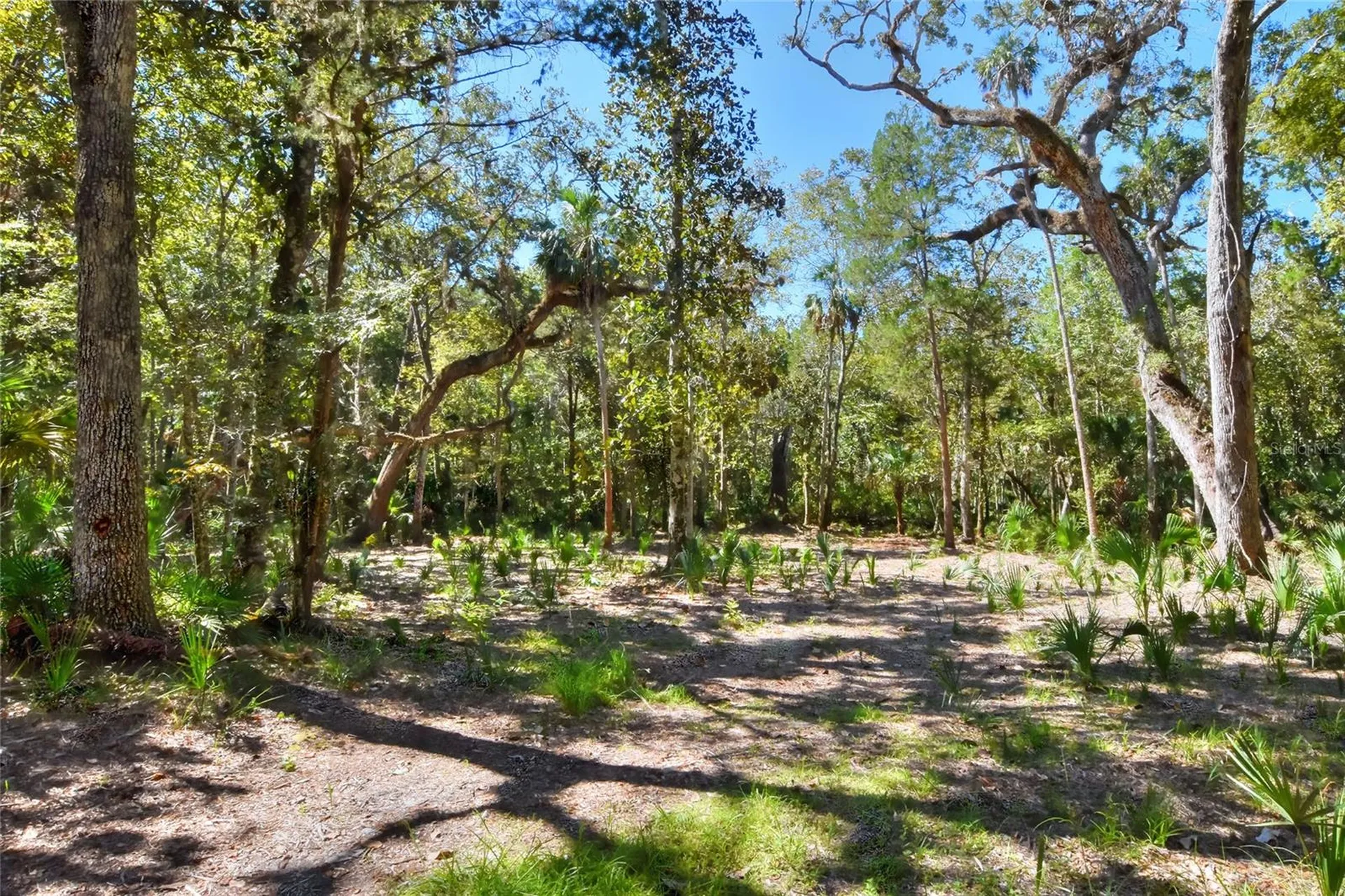 Pine Island Drive Weeki Wachee FL 34613