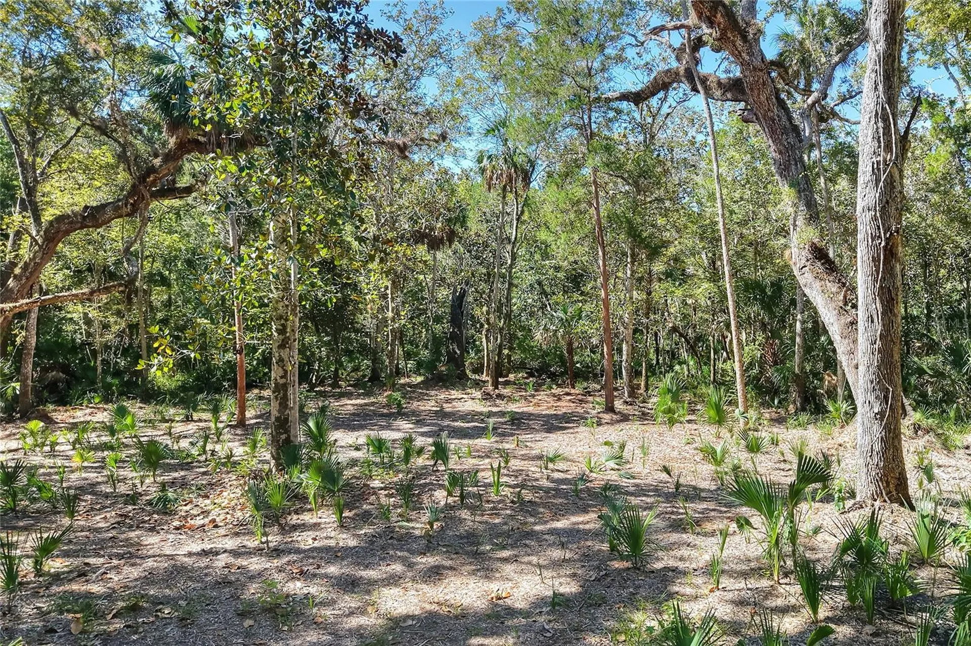 Pine Island Drive Weeki Wachee FL 34613