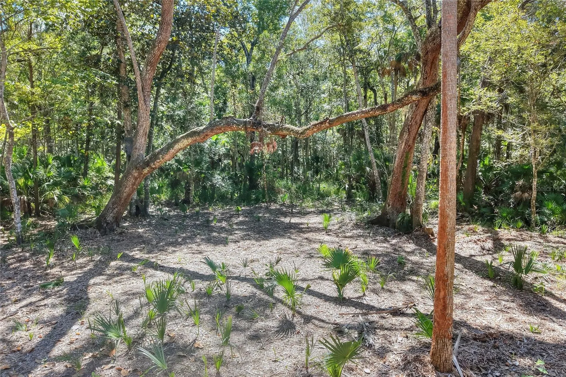 Pine Island Drive Weeki Wachee FL 34613