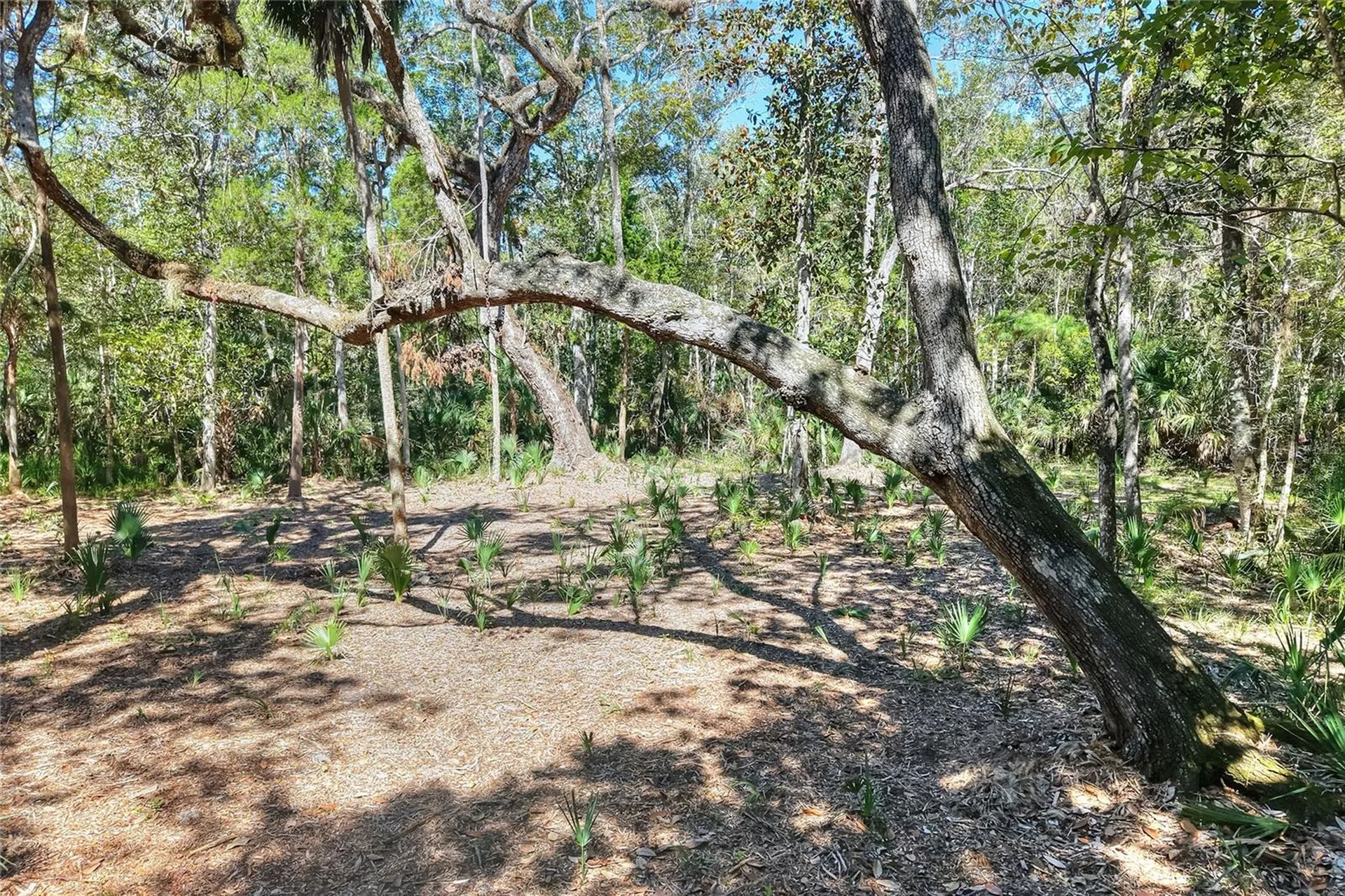 Pine Island Drive Weeki Wachee FL 34613