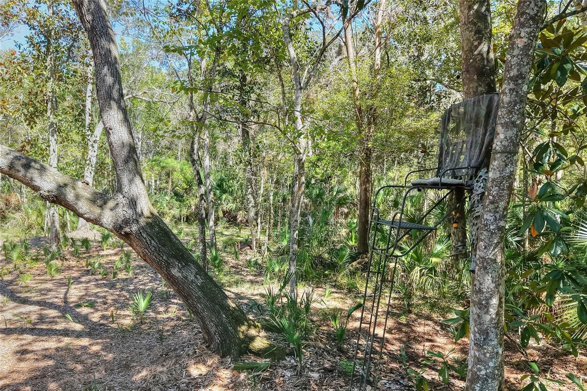 Pine Island Drive Weeki Wachee FL 34613