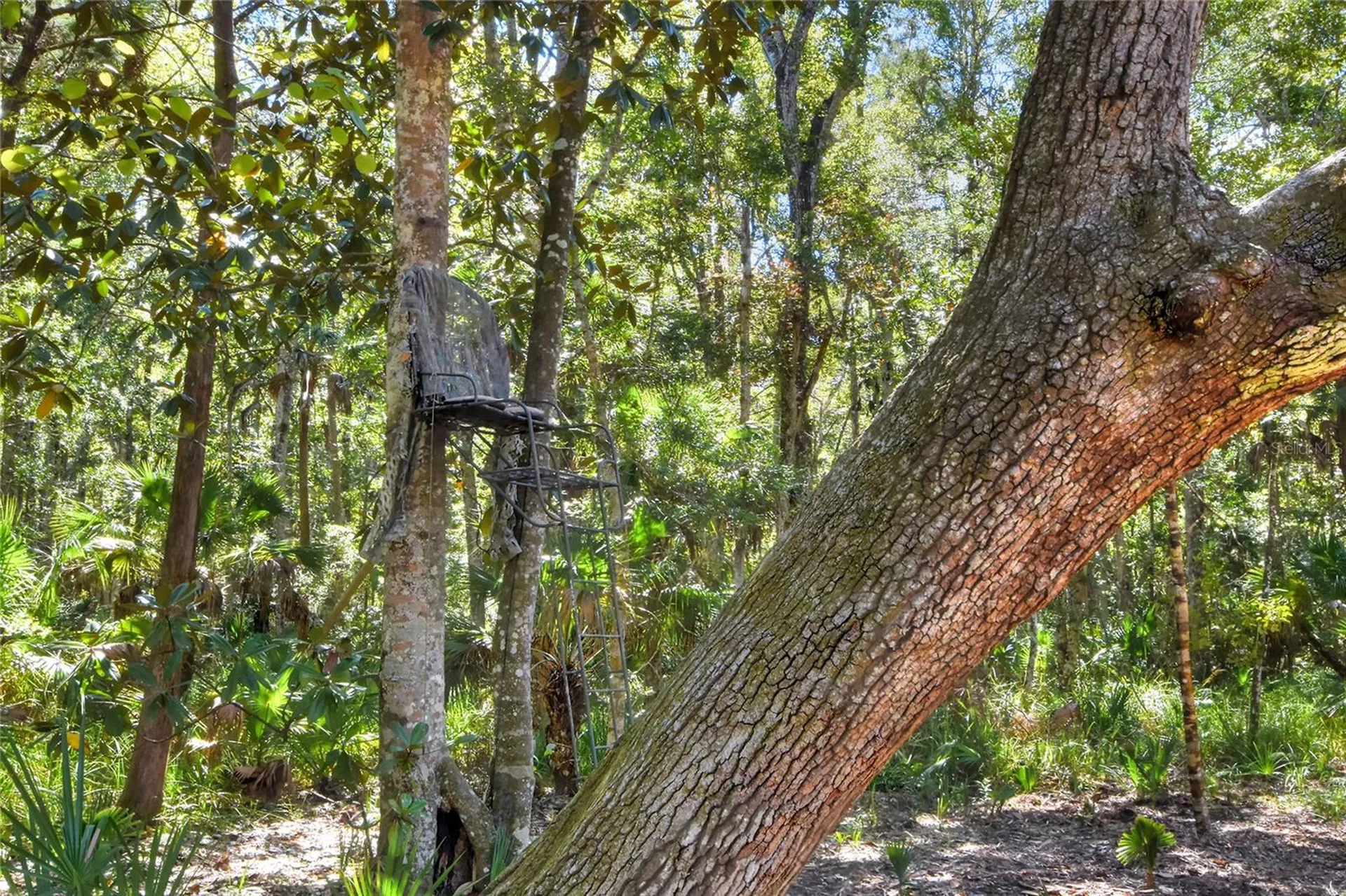 Pine Island Drive Weeki Wachee FL 34613