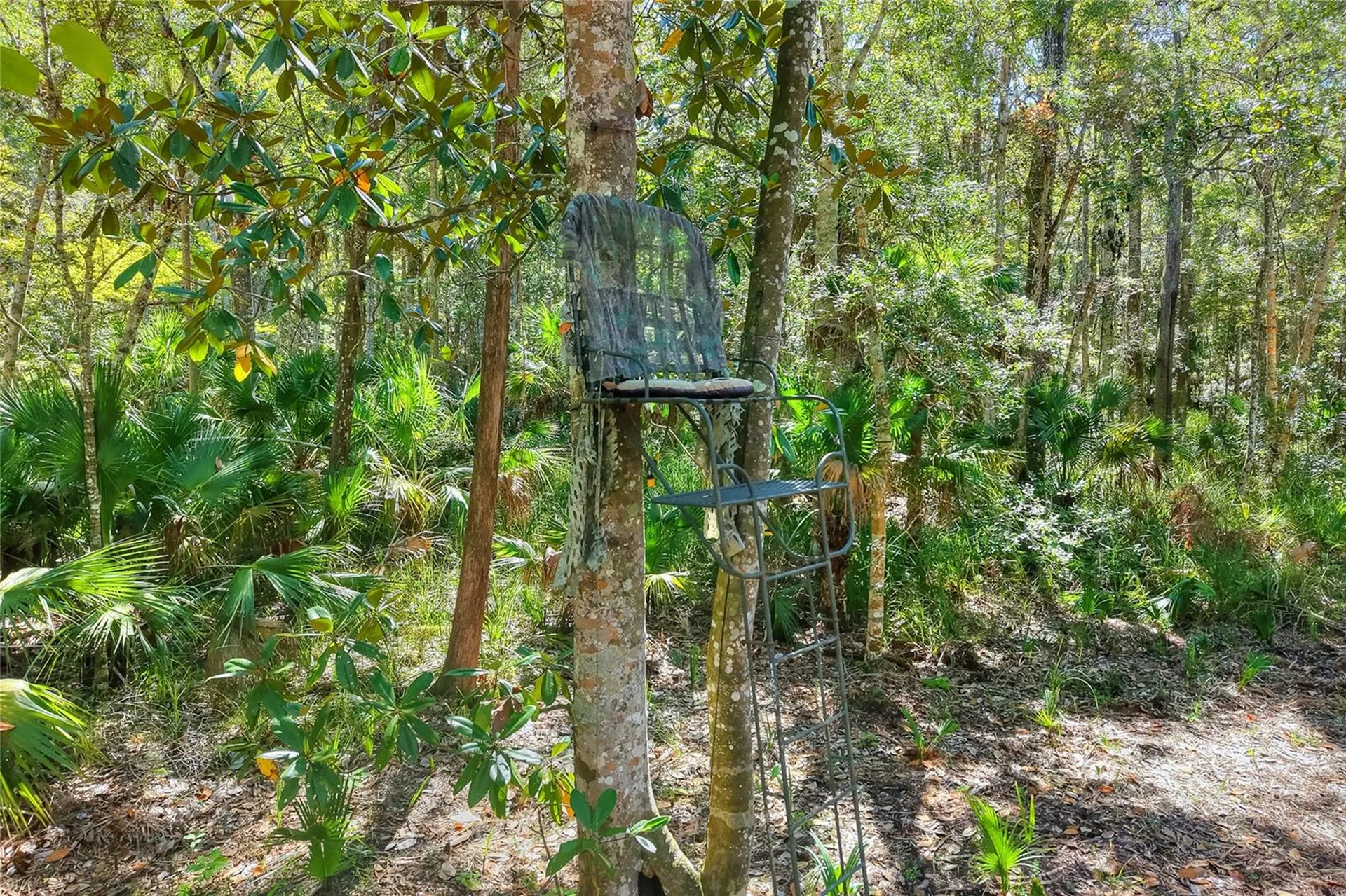 Pine Island Drive Weeki Wachee FL 34613