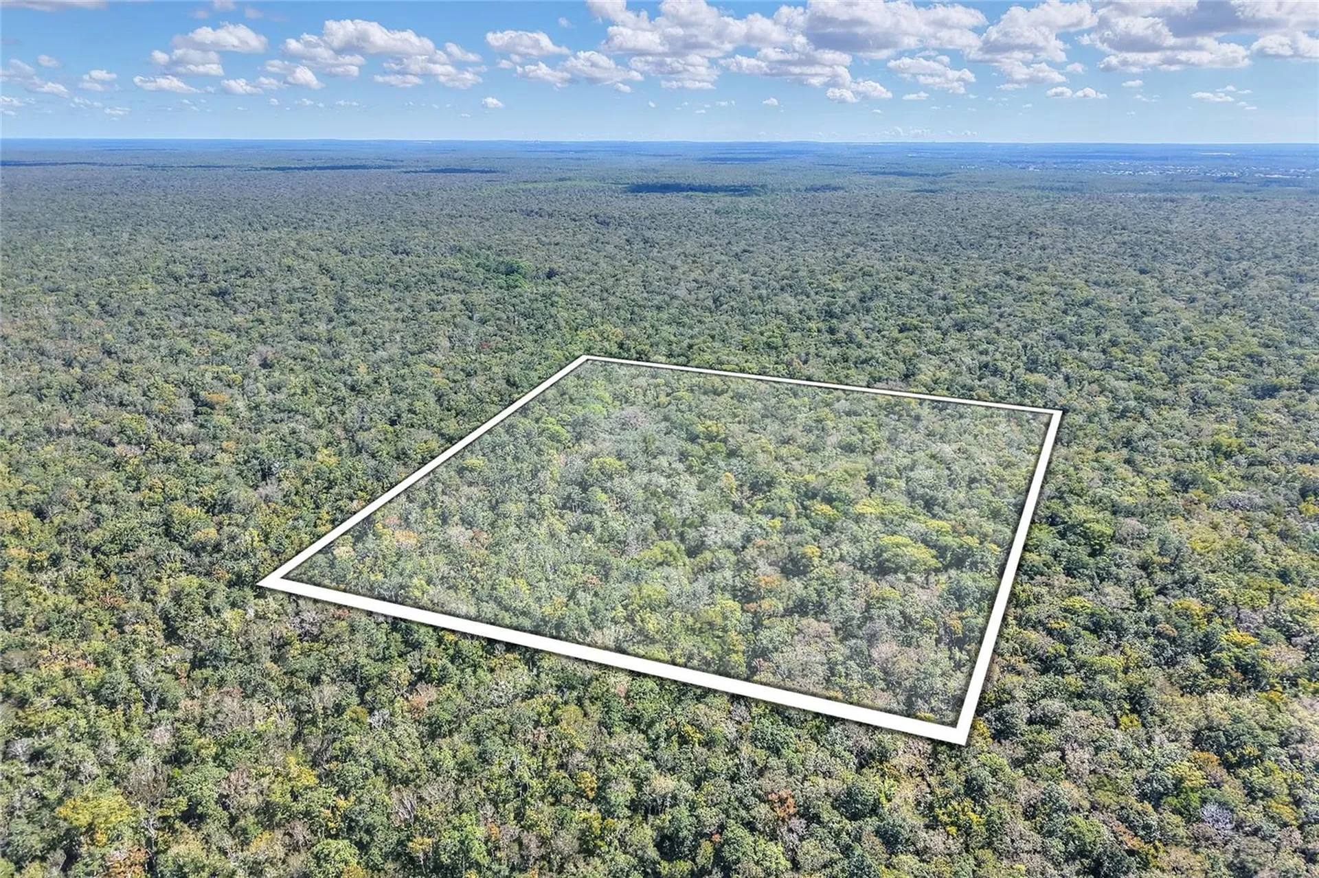 Pine Island Drive Weeki Wachee FL 34613