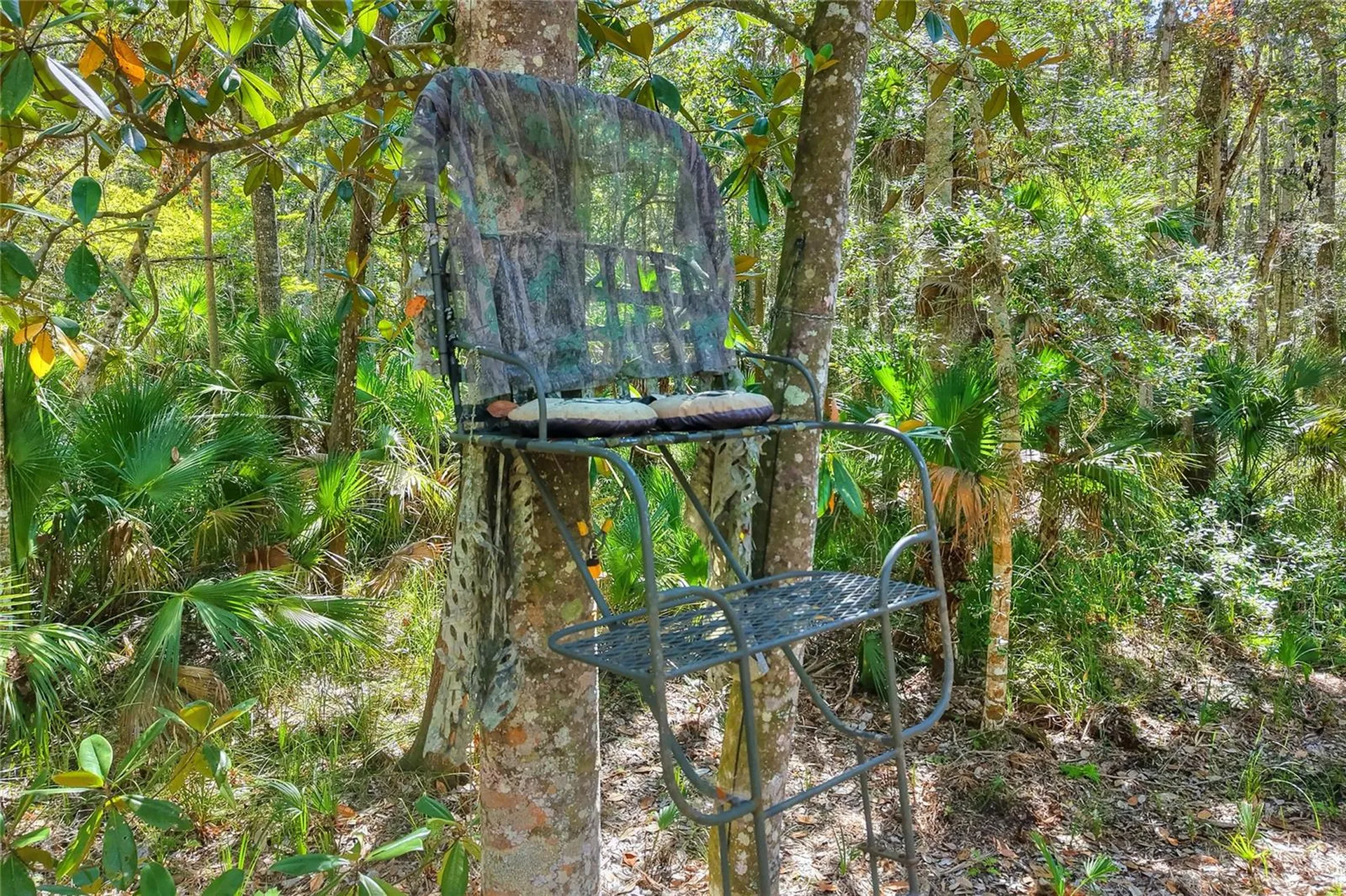 Pine Island Drive Weeki Wachee FL 34613