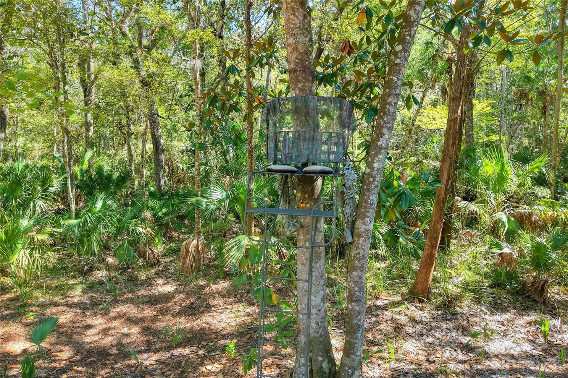 Pine Island Drive Weeki Wachee FL 34613