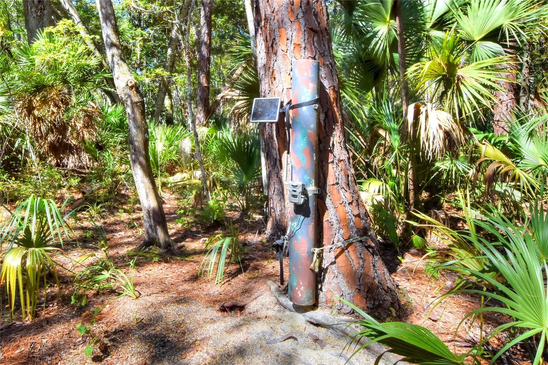 Pine Island Drive Weeki Wachee FL 34613
