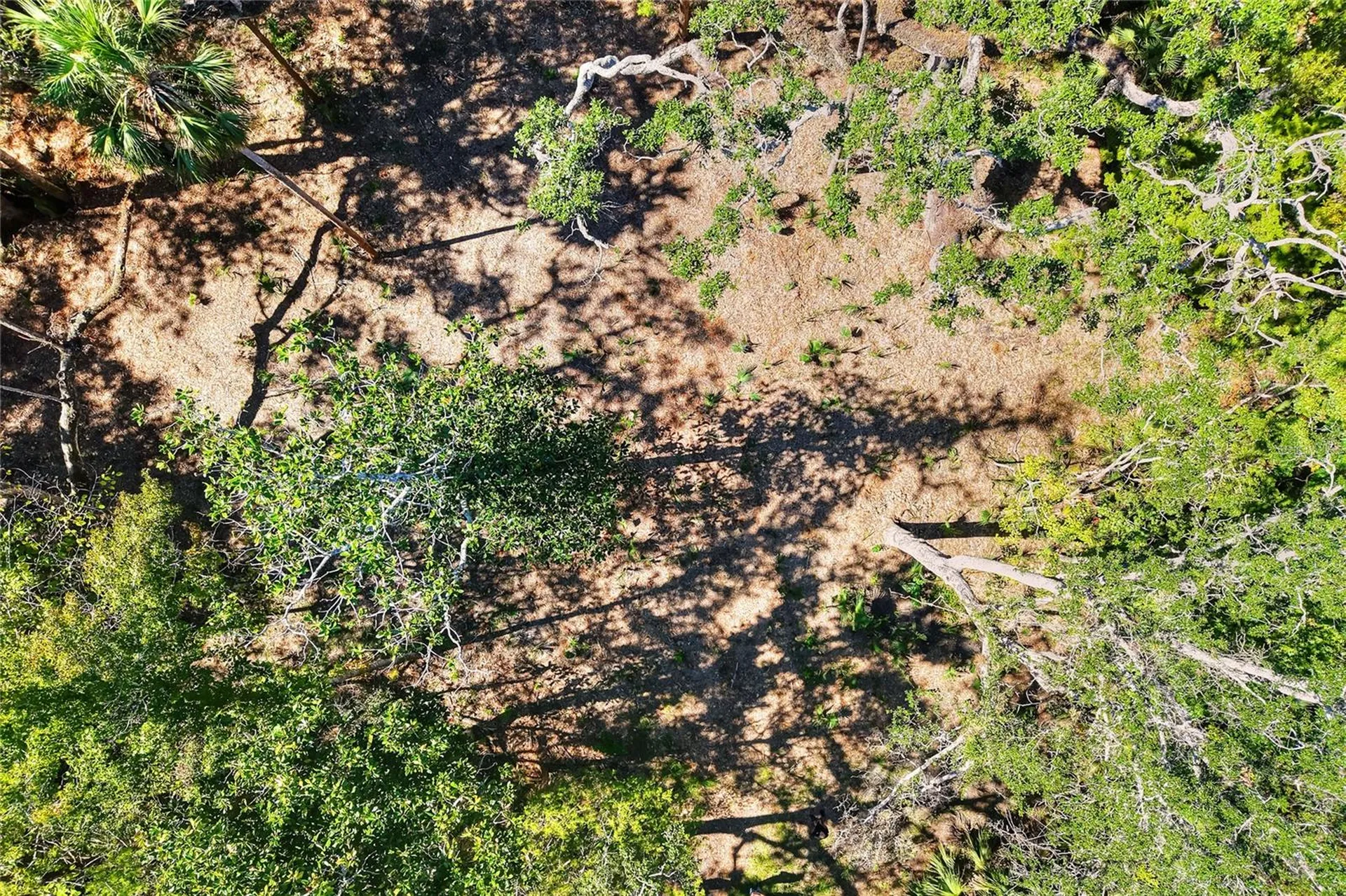 Pine Island Drive Weeki Wachee FL 34613