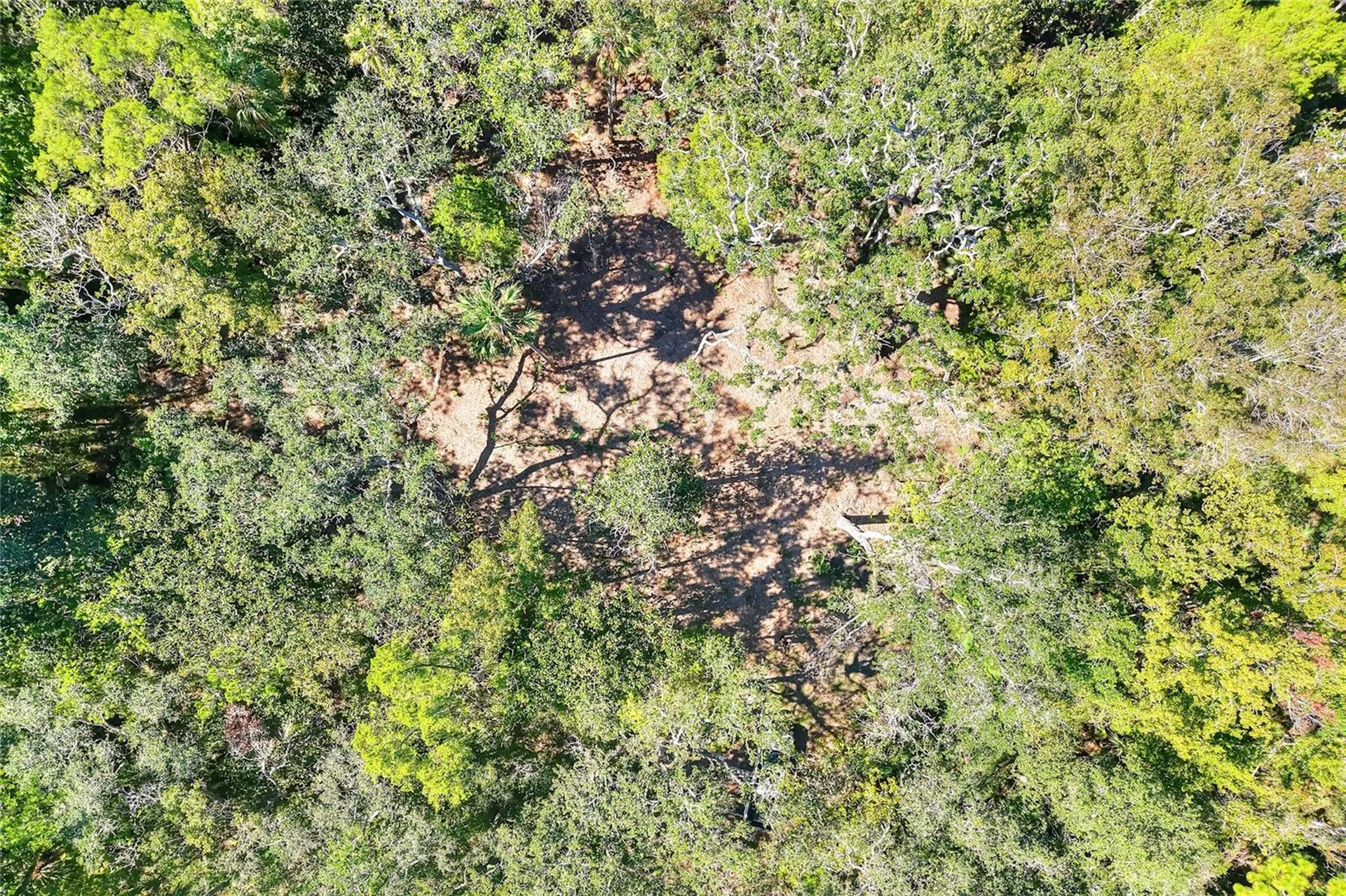 Pine Island Drive Weeki Wachee FL 34613