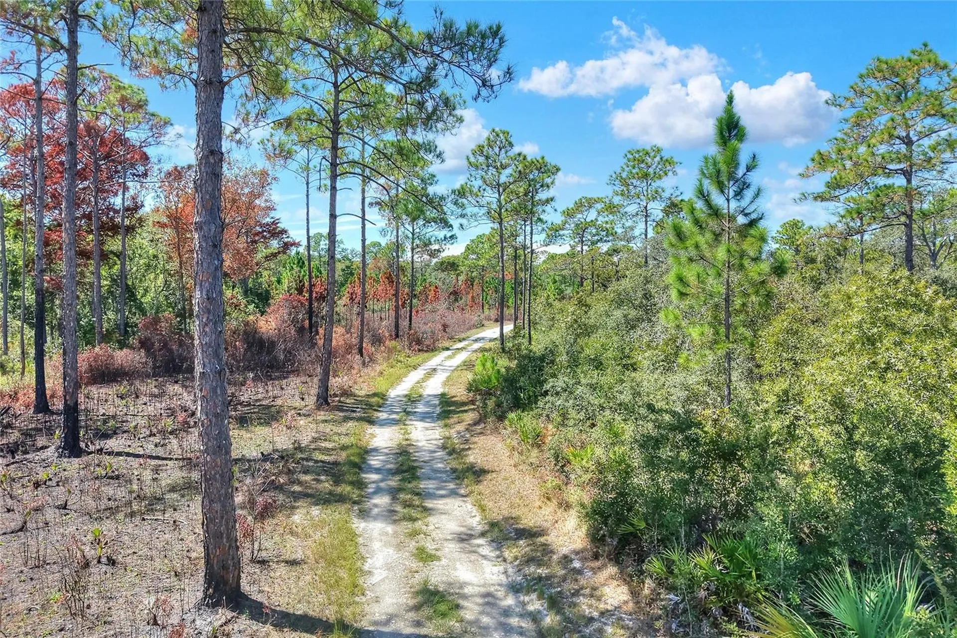 Pine Island Drive Weeki Wachee FL 34613