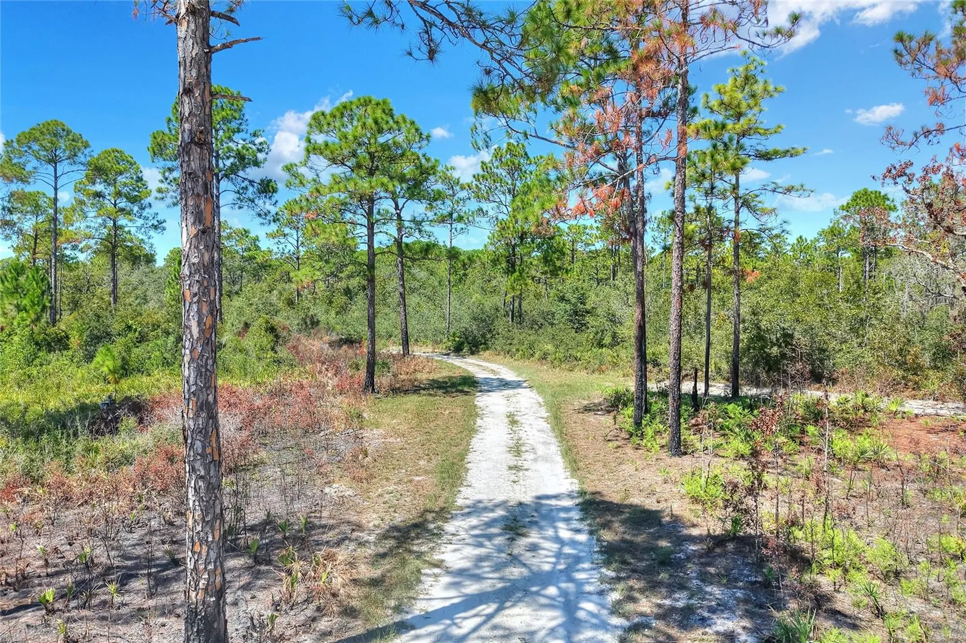 Pine Island Drive Weeki Wachee FL 34613