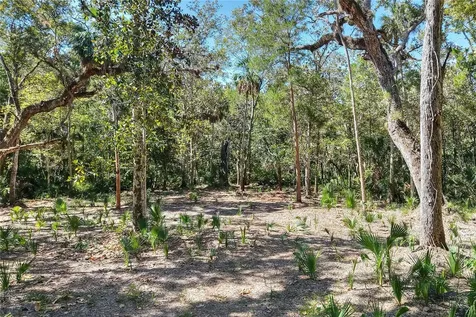 Pine Island Drive Weeki Wachee FL 34613