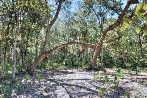 Pine Island Drive Weeki Wachee FL 34613