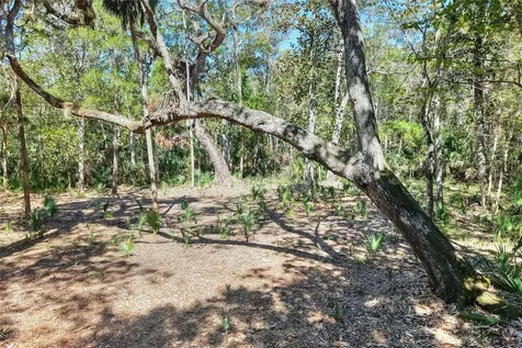 Pine Island Drive Weeki Wachee FL 34613
